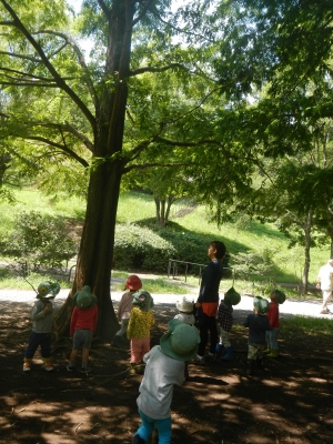 DSCN8403.JPG