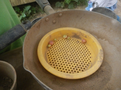 DSCN0363.JPG