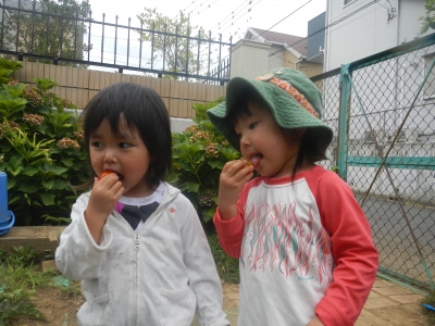 DSCN0367.JPG