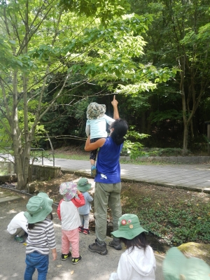 DSCN0379.JPG
