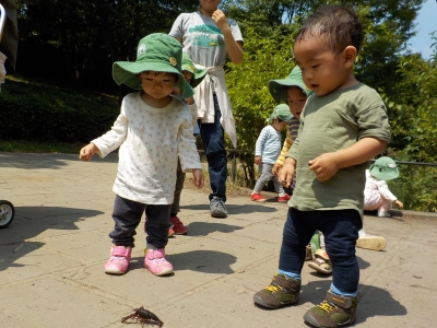 DSCN9475.JPG