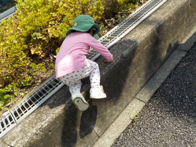 DSCN0080.JPG