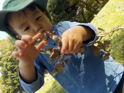 DSCN0204.JPG