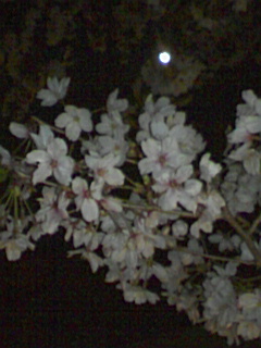 090406_1945~01.jpg
