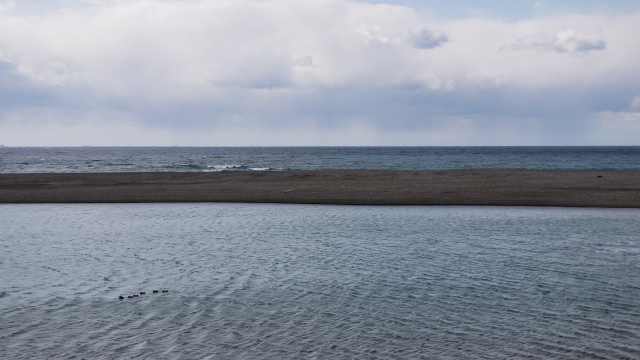 15827779458710.jpg