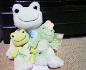 200805012025000.jpg