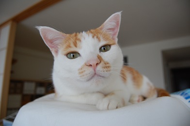 0710tama.jpg