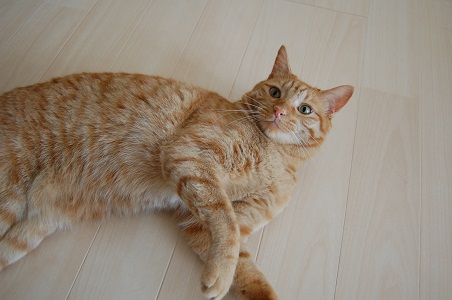 kima855.jpg