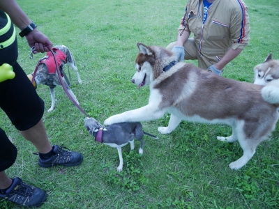 P1010057.JPG