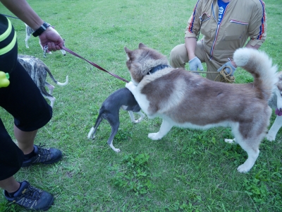 P1010058.JPG