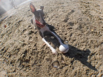 DSCF2160.JPG