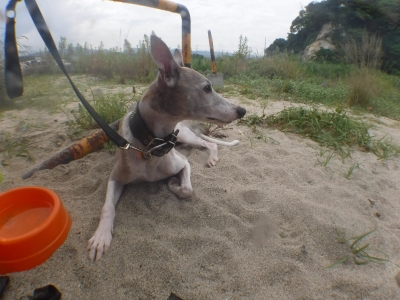 DSCF2203.JPG