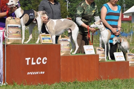 DSC_8613.JPG