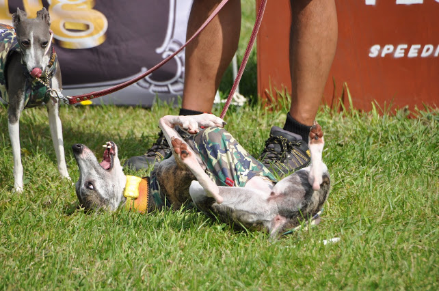 DSC_7505.JPG