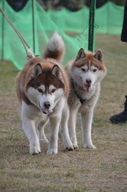 DSC_1262.JPG
