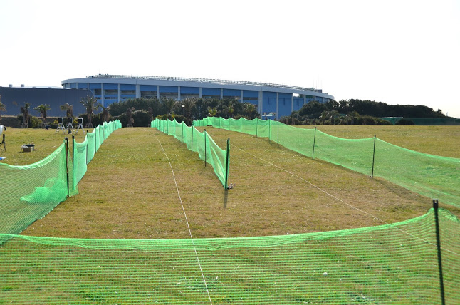 DSC_9734.JPG