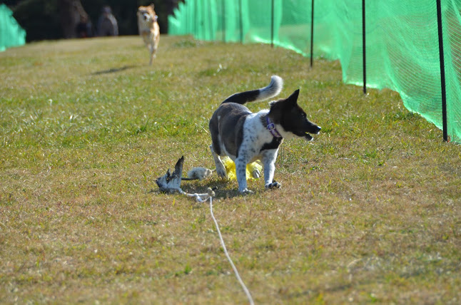 DSC_9872.JPG