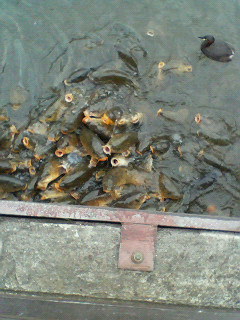 200704092217000.jpg