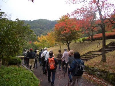 紅葉