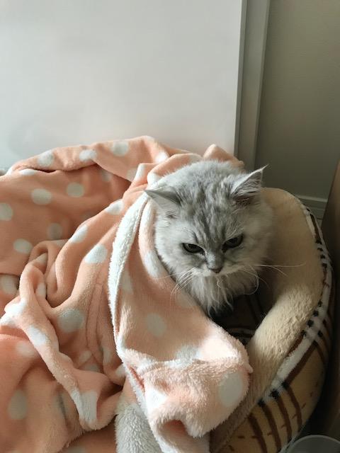 image1.jpeg