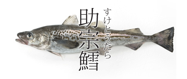 海水魚113 スケトウダラ スケソウダラ さかなや魚介類図鑑ブログ