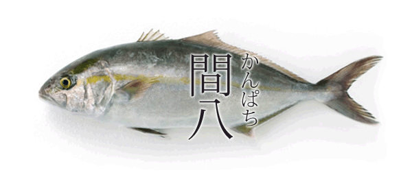 カンパチ
