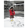 数年ぶりの雪にコウフン