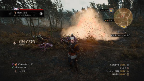 ウィッチャー3