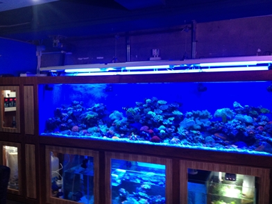 IMG_0591.JPG