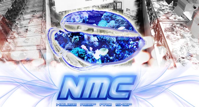 NMCロゴ.jpg