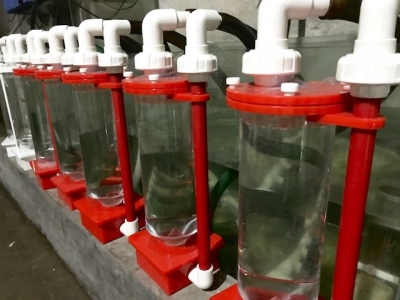 ReefLive バイオペレットリアクターⅡ(外部式) 今月入荷予定