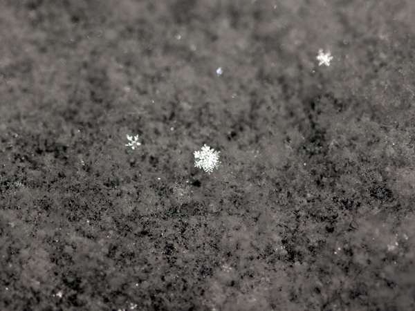 雪の結晶