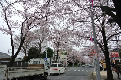 DSC_2545.JPG