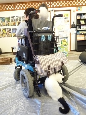 車イスの方 取材