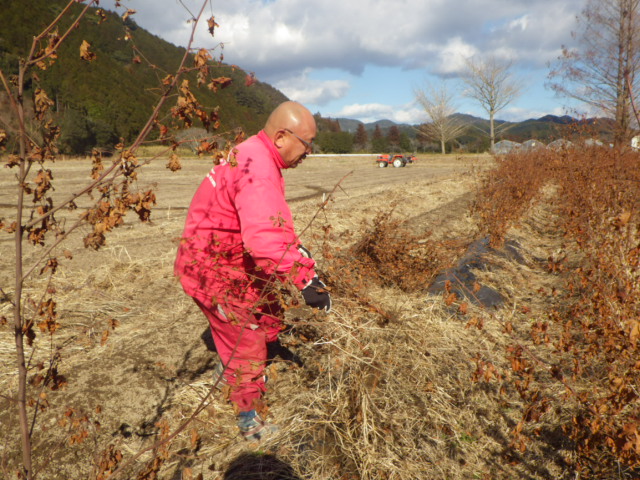 2014.1.11まで 060.JPG