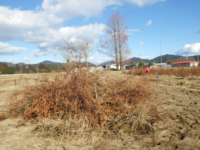 2014.1.11まで 061.JPG