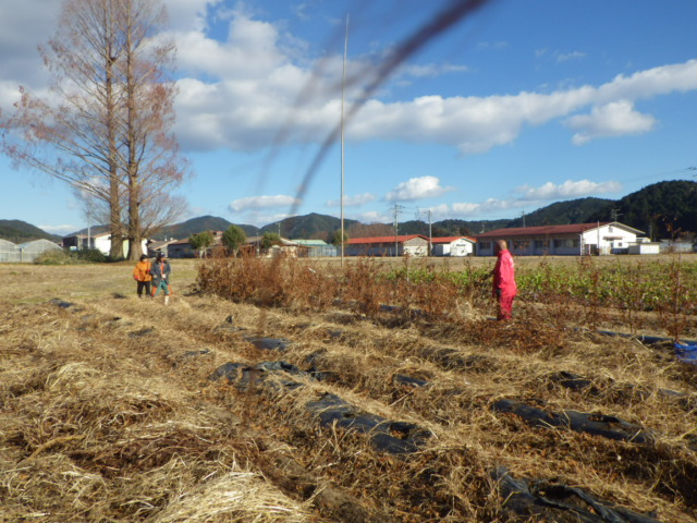 2014.1.11まで 063.JPG