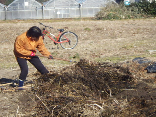 2014.1.11まで 064.JPG