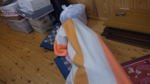 RIMG0733.JPG