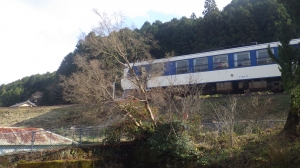 RIMG4370.JPG