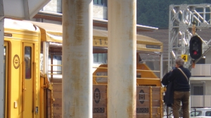 RIMG4379.JPG
