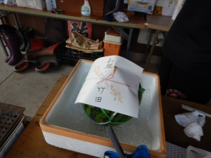 DSCN3039.JPG