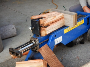 DSCN5220.JPG