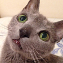 ピースくん
