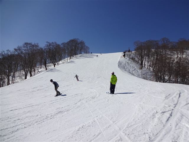 パノラマコース上部