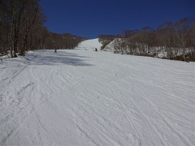 パノラマコース中部