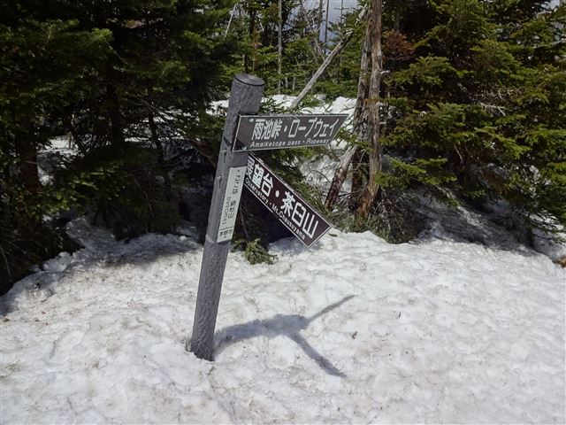 縞枯山