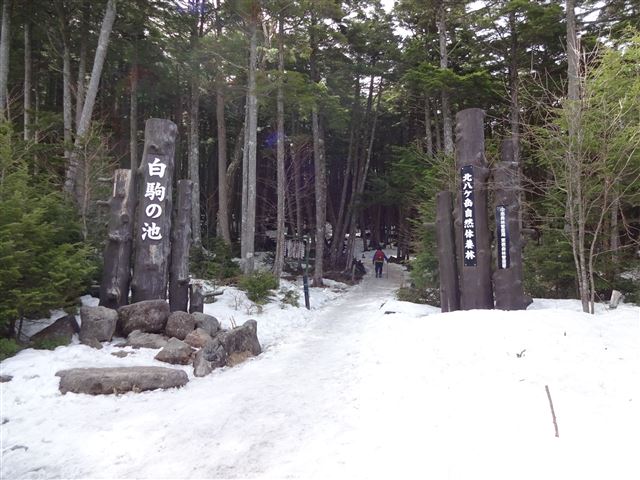 白駒池入口