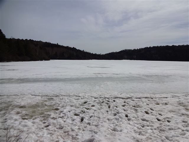 白駒池