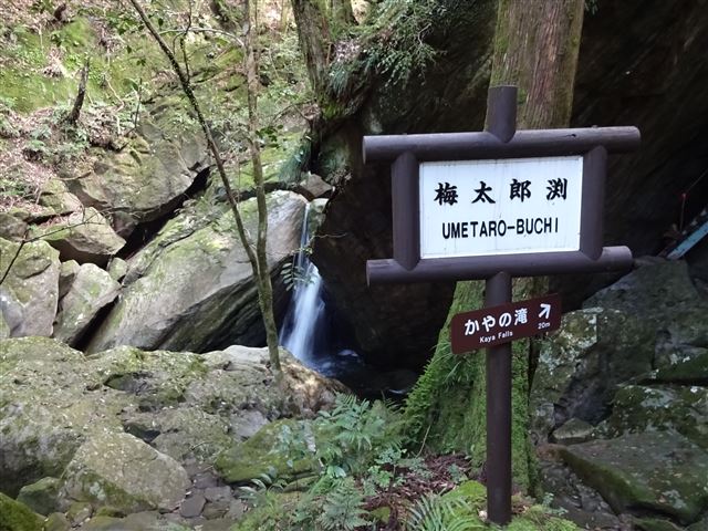 梅ヶ淵